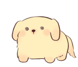 ลายที่ 13