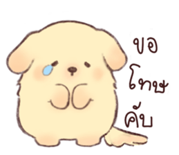 ลายที่ 17