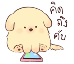 ลายที่ 19