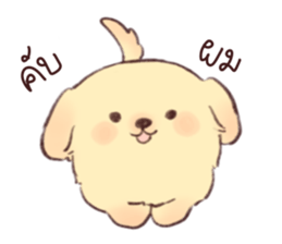 ลายที่ 25