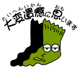 7033050