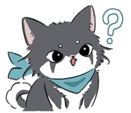 703413743