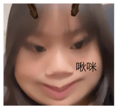 703502045