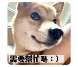 703527819