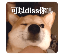 703527820