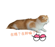 703582677