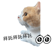 703582685