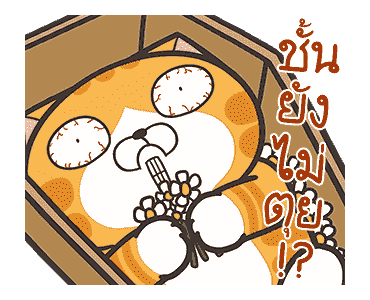 เหมียวซ่า : ชีวิตดี๊ดี รูปที่ 22
