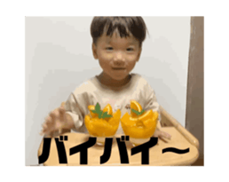 703627977