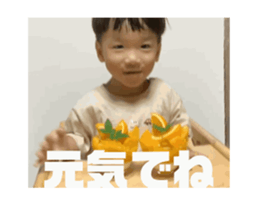 703627987
