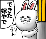 703629946
