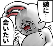 703629976