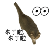 703630253