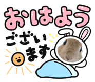 703648378