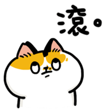 703654369