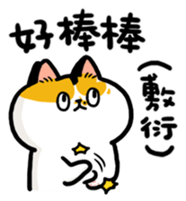 703654372