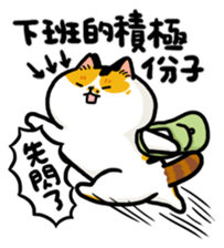 703654377