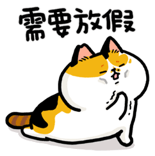 703654380