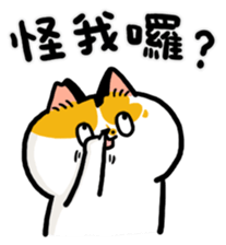 703654388