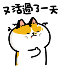 703654391