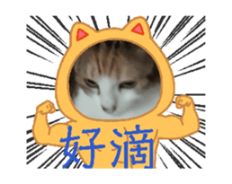 703659981