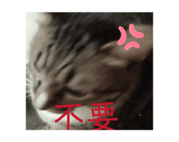 703659984