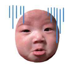703664812