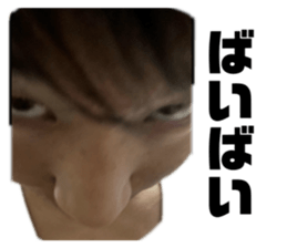 703675119