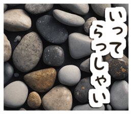 703698890