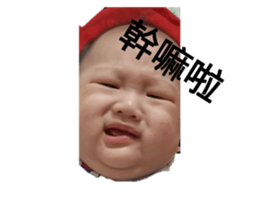 703804234