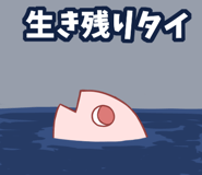 703818667