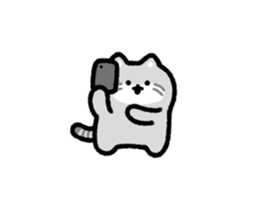 703822020