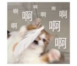 703822072