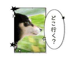 703825533