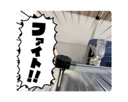 703825535