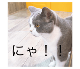 703833631