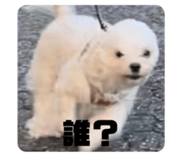 703851984