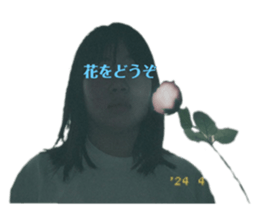 703865911