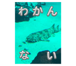 703868042