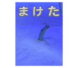 703868051