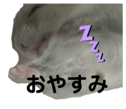 703894668