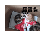 703905259