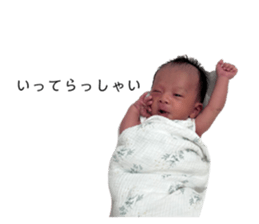703906577
