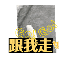 703914507