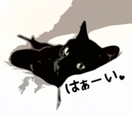 703930768