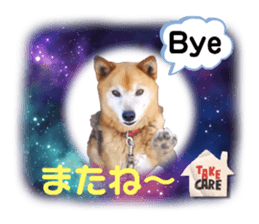 703937838