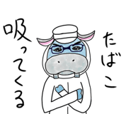 703939849