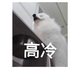 703947576
