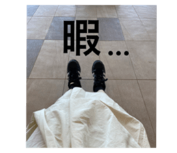 703956271