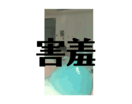 703996213